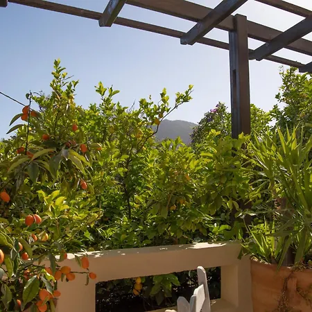Private Pet Friendly Holiday home *